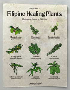 Filipino Healing Plants 8.5 x 11 Recycled Paper Print