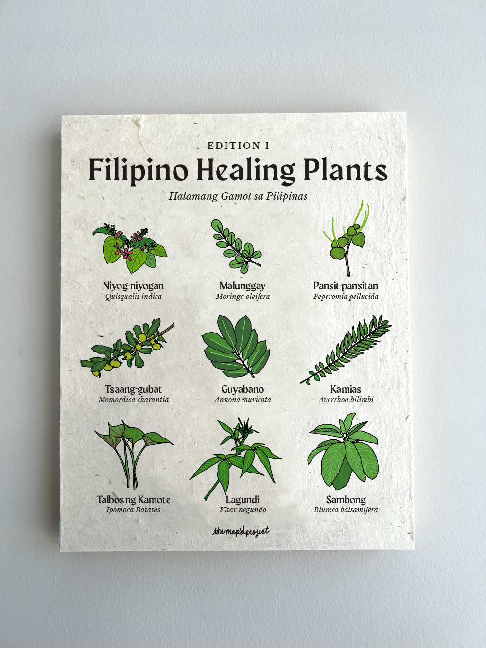 filipino plant Filipino Healing Plants 8