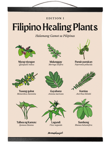 PRE-ORDER: Filipino Healing Plants 12x16 Hanging Print